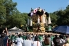 2024年10月18日撮影|八旛神社かきくらべ