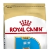 RC BHN 柴犬 子犬 800g