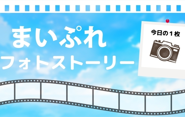 まいぷれフォトストーリー 今日の一枚