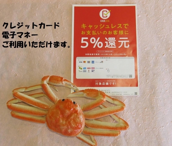 キャッシュレス決済ご利用いただけます！「境港産　紅ずわいがに お買い得価格で入荷しました！」