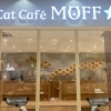 癒やしの空間 「Cat Café MOFF コクーンシティさいたま新都心店」