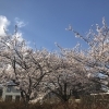 【盛岡】諸葛川河川公園