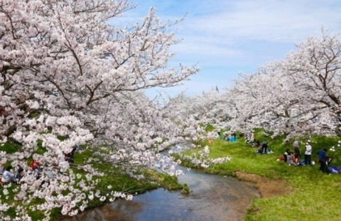 山陰島根県松江市玉湯町　玉造温泉街～玉湯川