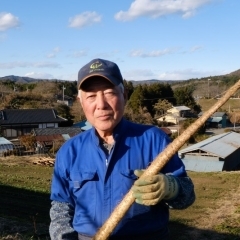 【伊藤農園】伊藤農園の自然薯2本（約1.5kg）　ほか