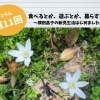 <第11回> ベツレヘムの星を目指す