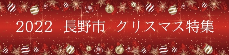 2022 長野市クリスマス特集《イルミネーション・ディスプレイ》