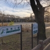 ◆こうのす公園探訪◆ ~鴻巣公園編~