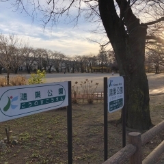 ◆こうのす公園探訪◆　～鴻巣公園編～