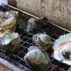 八千代で海鮮BBQといえば活き活き家! 海鮮BBQの食べ放題に挑戦【道の駅やちよ付近】