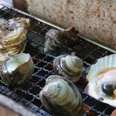 八千代で海鮮BBQといえば活き活き家！　海鮮BBQの食べ放題に挑戦【道の駅やちよ付近】