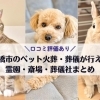 【口コミ評価あり】船橋市のペット火葬・ペット葬儀が行える霊園・斎場・葬儀社まとめ