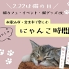 【和歌山】2月22日は猫の日!猫カフェ・イベント・猫グッズで楽しむにゃんこ時間