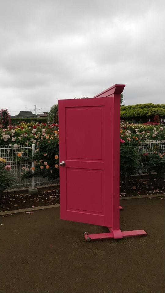 ピンクのドア