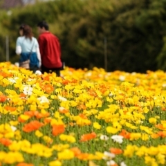 おすすめデートスポットin川崎10選!