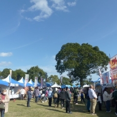 【茨城県行方市】食欲の秋!体験の秋!「2025なめがた秋祭り」で体感する行方の魅力