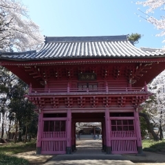 まだまだある!お花見スポット【桶川市編】