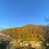 ■紅葉特集■【相模湖 嵐山の紅葉】山頂まで30分くらい♪