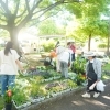 のすぱ×花まつり(2026年5月9日・10日)イベントレポート【埼玉県鴻巣市】