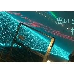 【カテゴリー別】思い出の一枚