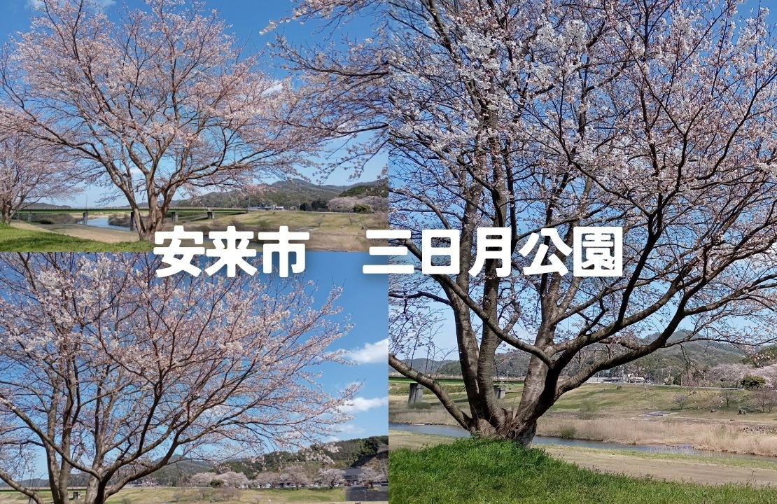 安来市広瀬町　三日月公園　桜