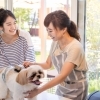 福島市周辺でおすすめのトリミングサロンまとめ♪