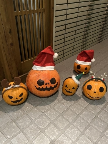 ハロウィンのかぼちゃさんたちもクリスマス「クリスマス」