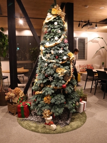SLOW VILLAGEさんのクリスマスツリー！「ねじめ正一さんのトークイベントにお邪魔しました❕」