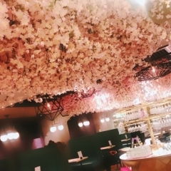 この春いちばんの「#映えスポット」【ESOLA新宿】 2,500本の【桜】に囲まれた店内でインドア花見 期間限定「お花見ワインバル」開催