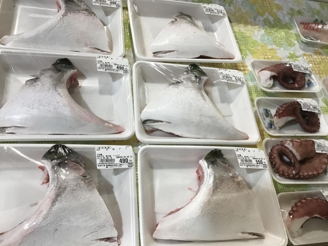 「魚魚市場鮮魚コーナーおすすめは「うちわエビ」です♪」