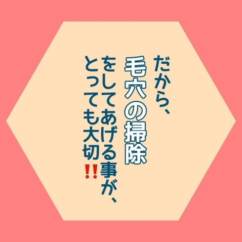 「「松ヤニホットセラピーで毛穴のお掃除！」黒部 山内美容室 40代からきれいをみつけるお店」