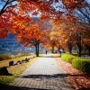【紅葉スポット】 岡谷市 湖畔公園
