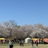 あけぼの山公園・あけぼの山農業公園