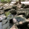 鎌ケ谷の避暑地!? 貝柄山公園へ遊びに行こう!