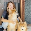 〈新サービス〉犬猫の往診サービス