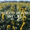 秋のひまわり畑へ行ってきました!