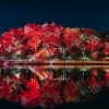 千葉公園で「YohaS -夜ハス-2025」が6月6日(金)7日(土)に開催!