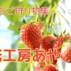 千歳市【花工房あや】※今シーズンは販売のみ
