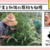 Vol.7 大学生と和紙の原料を収穫