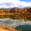 【紅葉スポット】原村/八ヶ岳自然文化園