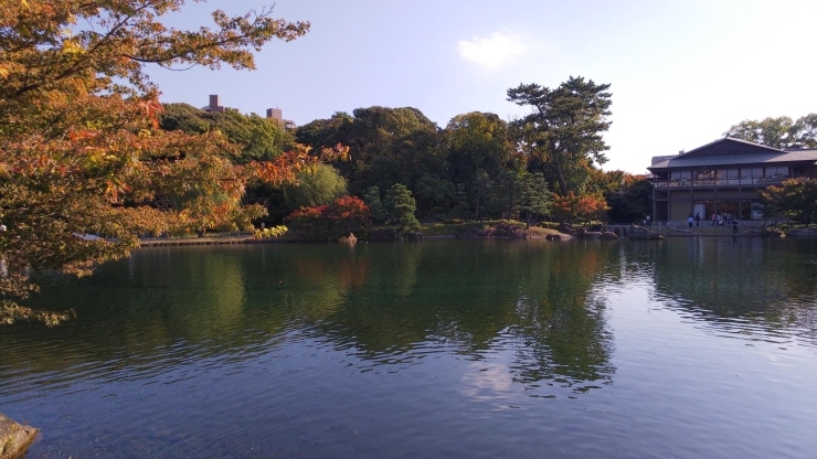 徳川園「徳川園に行ってきました   春日井市民ミズマサの子育て日記」