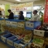 こども食堂のおばちゃんのコラム