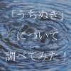 「うちぬき」について調べてみた!