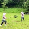 子どもと一緒に行きたい! 八千代市内でおすすめの虫取りスポット