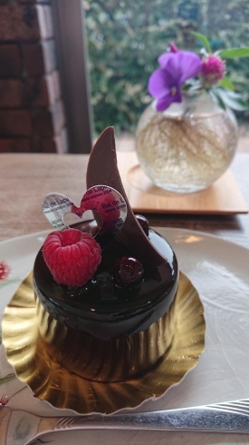 スパティアル「♡Bal de Lapinケーキ無料サービス券　プレゼントのお知らせ♡」