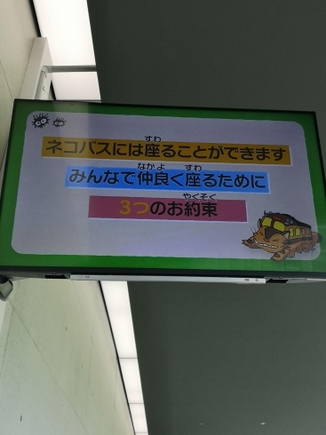 「ネコバスに座ることができます。」「長野県立美術館「ジブリパークとジブリ展」の楽しみかた！」