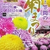 日本で一番古い「笠間の菊まつり」をご存知ですか?
