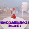 みんな教えて!1歳のお誕生日の過ごし方