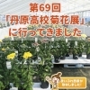 第69回「丹原高校菊花展」を取材しました!