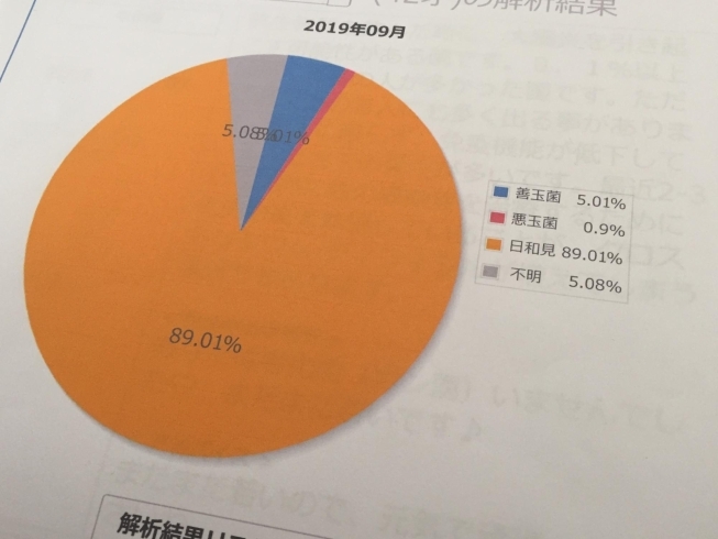 「腸活ダイエットを成功させるために必要な腸検査｜山形県飯豊町美容室フリンジ｜医療用ウィッグサロンフリンジ」