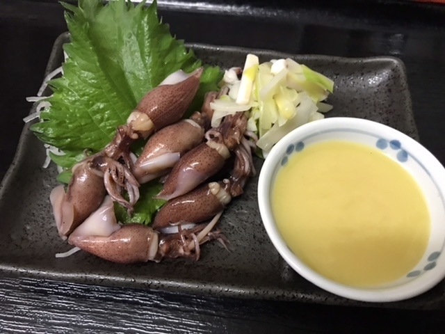 富山産ホタルイカ　酢味噌で「珍しいお魚　サメガレイ入荷‼️」